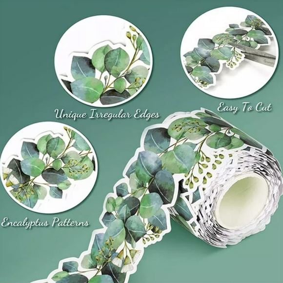 Eucalyptus Die-Cut Border Trim , 49ft, 2 Pk - Picture 4 of 5